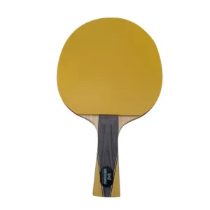 China Price Professional Custom Tournament 2 4 5 7 8 Star Premium Pro Ittf Print Aa 2a Series Wood Ping Pong Table Tennis Racket