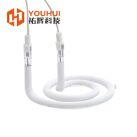 Ampoule halogène tubulaire à tube unique avec revêtement blanc, élément chauffant infrarouge en quartz 100-7600W