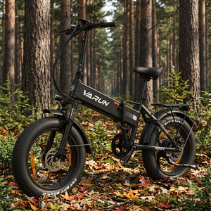 VARUN S20-1 Vélo Électrique Pliable 250W 20" Pneus Larges, Approvisionnement Direct Usine, En Stock US/UE, Pour Adultes, Idéal pour les Trajets Urbains et les Sorties en Ville - Product Image 1