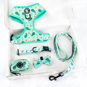 Coowone Köpek Tasması ve Kayış Seti Özel Neopren Köpek Tasması Seti Kişiselleştirilmiş Tasarımcı Çekişsiz Köpek Tasması - Product Image 1