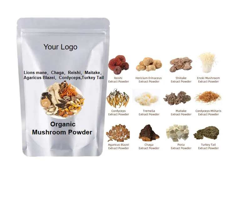 OEM Mushroom Powder For Lions Mane / Reishi /Chaga /Cordyceps Sinensis Mushroom Extract Powder mix mushroom extract