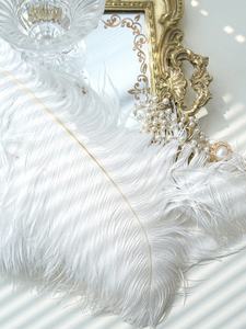 <span class=keywords><strong>Plumes</strong></span> <span class=keywords><strong>d</strong></span>'<span class=keywords><strong>autruche</strong></span> blanches naturelles <span class=keywords><strong>d</strong></span>écoratives en gros, 40-80 <span class=keywords><strong>cm</strong></span>, pour centres de table de mariage - Product Image 6