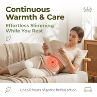 Patch Détox Herbal Marque Blanche avec Ailes : Solution Minceur pour Brûler la Graisse Abdominale
