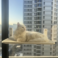 Hamac de fenêtre pour chat Pami - Nid suspendu à ventouse peu encombrant pour balcon ou fenêtre, lit pour chat pour bronzer, hamac de fenêtre pour chat