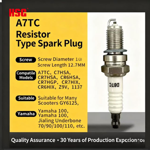 Bujías de repuesto para motocicleta HSG profesional D8TC níquel <span class=keywords><strong>CR8EIX</strong></span> B8RTC B9TC A7TC bujía - Product Image 3