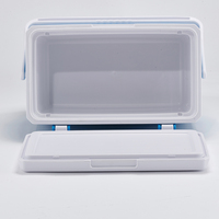 Glacière isotherme personnalisable pour extérieur, camping, pique-nique, 5L, pour canettes, bière, boissons, cadeau, mini glacière rigide en plastique, petite glacière à glace
