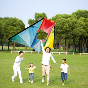 Bán Buôn Tùy Chỉnh Diều Phẳng Trẻ Em Bay Diều Ngoài Trời Đồ Chơi Vườn Đồ Chơi Cho Trẻ Em Món Quà - Product Image 1