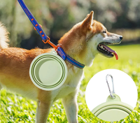 Conteneur de nourriture pour chien pliable en silicone portable de 350 ml, résistant à l'eau, durable, bol pour chat, animal de compagnie, camping en plein air