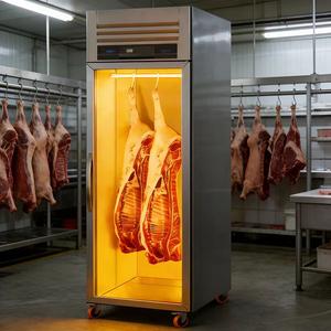 Congelatore Espositore Commerciale per Carne Rebirth con Display Digitale, Raffreddamento Diretto, Acciaio Inossidabile 304, Design Verticale Sospeso - Product Image 1