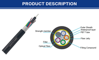 Cable de fibra óptica monomodo Gyta53 / Gyta / Gyxtw / Gyfty / Gyts / Gyxtc8S cable de comunicación