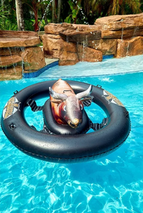 Flotador Inflable Premium para Piscina, de PVC, Ecológico, para Montar en el Agua, Juguete Acuático para Adultos - Product Image 4