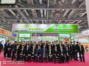 Esencia Sintética de Té Verde Hengyu, Líquido Agua-Aceite, Certificado HALAL, para Bebidas, Té de Burbujas, Aromatizante de Tabaco - Product Image 6