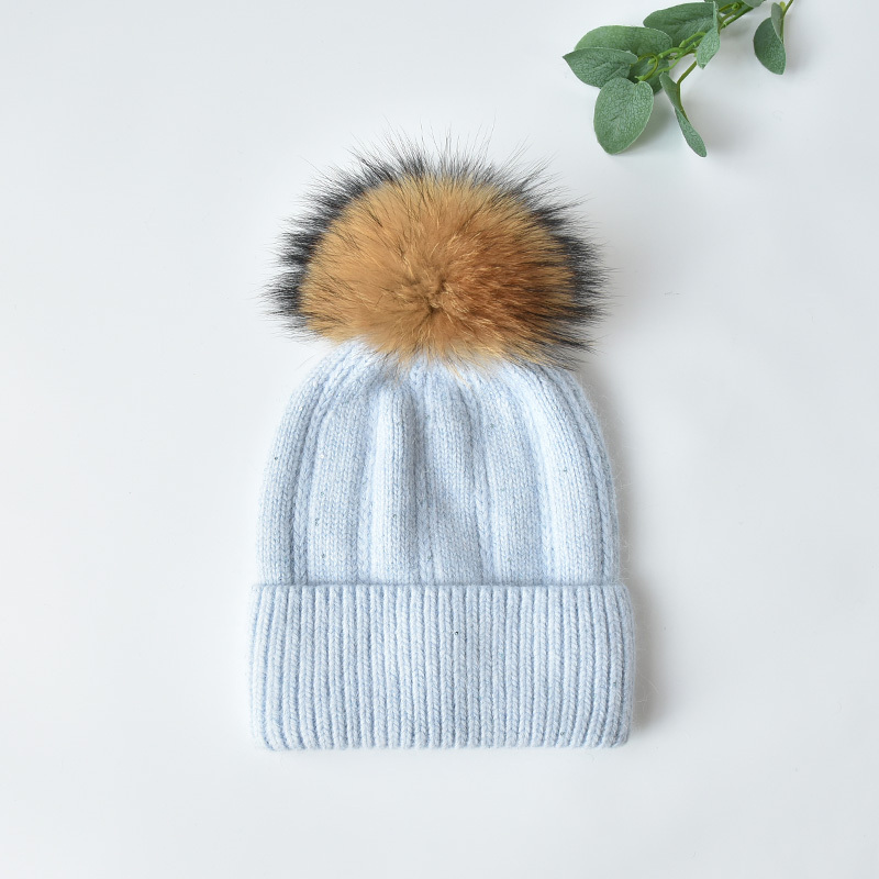 Blue +brown Pom