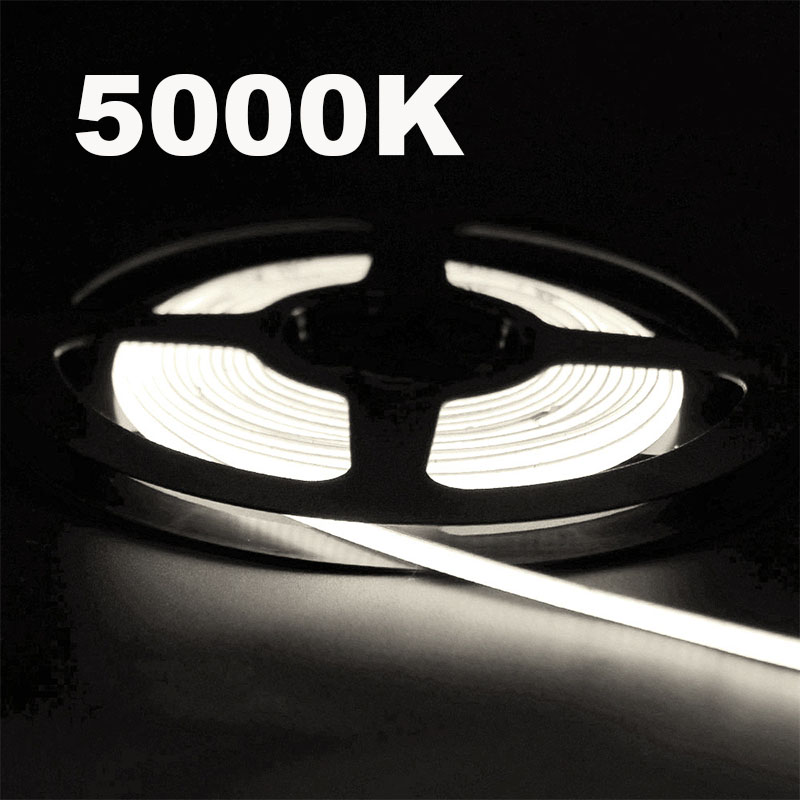 5000K