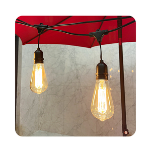 Proveedor de bombillas de vidrio al por mayor 25W 40W 60W bombillas incandescentes A19 ST64 T30 decoración <span class=keywords><strong>Edison</strong></span> E27 bombilla de filamento de tungsteno - Product Image 5