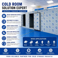 Chambre Froide Modulaire Personnalisée : Projet de Congélateur Intelligent et Moderne pour la Production de Crèmes Glacées, Desserts, Fruits de Mer, Fruits et Usines Médicales