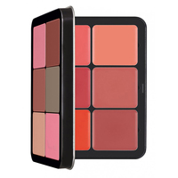 Palette de Correcteurs Crème Professionnels Waterproof Couvrance Totale HKH, 12 Couleurs, Fini Mat Naturel, Teint Clair, Échantillon