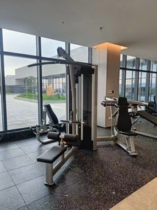 Bán Buôn Chất Lượng Cao 2-Trong-1 Combo Đa Phòng Tập Thể Dục Thiết Kế Mới Tập Thể Dục Máy 3 Trạm 6 Chức Năng Cho Thương Mại Phòng Tập Thể Dục Thể Thao Tập Thể Dục - Product Image 2