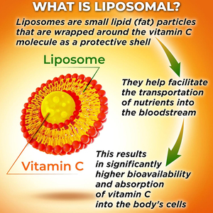 Vitamina C liposomal vegana de alta calidad de marca privada para estimular el metabolismo, refuerzo inmunológico y apoyo a la absorción de calcio en cápsulas blandas. - Product Image 4