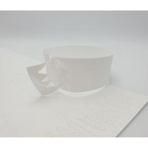 [AnyWristband] Láminas de Tyvek para pulseras de eventos, imprimibles por inyección de tinta, de 20 mm (3/4 pulgadas) para datos variables - Product Image 3