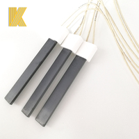 Allumeur de brûleur à granulés de Surface chaude 220v Allumeur de nitrure de silicium à haute température 600W