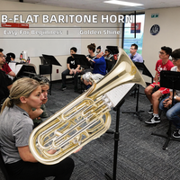 Tuba Kuningan 3+1 Oblique Four-Key BB dengan Lapisan Pernis Emas, Ramah Pemula
