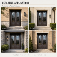 Porte d'entrée double en fer forgé avec verre trempé, anti-rouille, étanche, porte de sécurité extérieure pour entrée principale de villa américaine