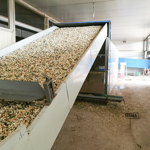 High Quality Golden Chrysanthemum Drying Machine Mesh Belt Dryer Chrysanthemum Dehydration Processing Equipment - Product Image 3