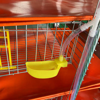 Cage d'élevage de cailles en treillis métallique galvanisé, cage à batterie de type H pour l'élevage de cailles pondeuses pour la production d'œufs