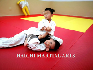 เสื่อเทควันโด ยูโด กันลื่น ขนาด 100x100 ซม. หนา 4 ซม. สำหรับฝึกซ้อมเทควันโด คาราเต้ กังฟู ขายดี - Product Image 6