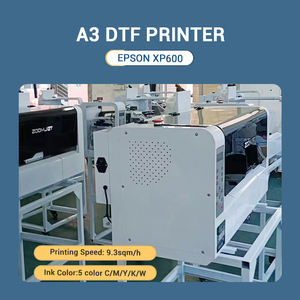 Vielseitiger A3 DTF-Drucker zum Fabrikpreis mit L1800-Druckkopf für die Individualisierung von Leinentaschen, Schuhen, Hüten, Schürzen und allen Werbeartikeln - Product Image 3