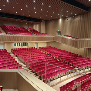 Silla de Auditorio Moderna de Tela para Teatro, Hotel, Hospital - Reposabrazos Ajustables, Patas de Acero, Muebles Comerciales al por Mayor - Product Image 3