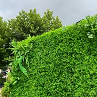 Tema Daun Hijau 3D Musim Semi Kustom untuk Latar Belakang Foto Pernikahan Pesta Ulang Tahun Latar Belakang Fotografi Dekorasi Kebun Binatang Alat Peraga Pemotretan