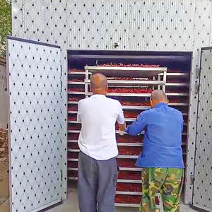 热泵干燥室木薯片水果海鲜连续输送网带辣椒生姜香料干燥机 - Product Image 6