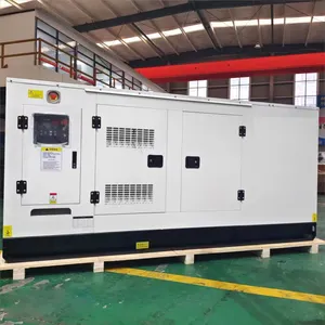 110KW 125KVA 130KVA 140KVA Biogas Electricity Generator 100kw Price