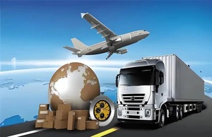 Agence de transport maritime internationale économique / Société de fret pour les expéditions de Chine vers l'Italie / le Canada / les États-Unis - Product Image 4