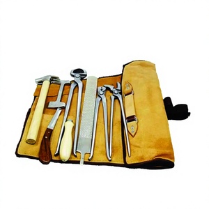 Kit d'outils professionnels pour fermeurs vétérinaires, entretien des sabots et des chaussures d'animaux, en acier inoxydable réglable pour grands animaux - Product Image 1