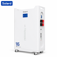 Batterie solaire hybride 16 kWh 51,2 V 314 Ah avec Wi-Fi, 8000 cycles, sans entretien, fonctionnement sécurisé, empilable