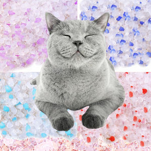 수의학용 실리카겔 고양이 모래 |   초저먼지, 애완동물 병원용 고흡수성 |   OEM 대량 고양이 모래 (동물병원용) - Product Image 3