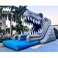 Toboggan aquatique gonflable géant en PVC Aloha Splash - Double piste, style dragon personnalisé, utilisation extérieure, capacité 500 kg, pour jardin