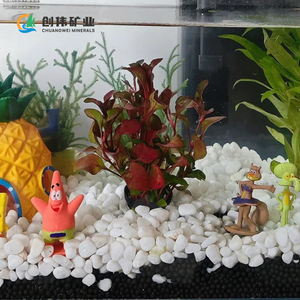 White Black Smooth <strong>Aquarium</strong> Gravel Decorative Stones for <strong>Fish</strong> Tank Landscaping Pond Filter Media Natural Pebble Stone - Product Image 4