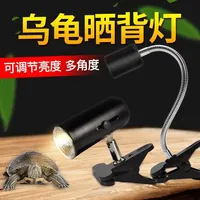 Lampe chauffante pour tortue, lumière chauffante à spectre complet, ampoule solaire, supplément de calcium, chauffe-tortue pour terrarium de reptiles