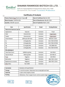 Fabrik Großhandel Bulk Inonotus Obliquus Extrakt Braunes Pilz pulver Polysaccharide <span class=keywords><strong>Chaga</strong></span> Extrakt - Product Image 2
