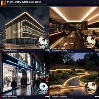 Tira de Neón Flexible IP67 de 12V 1212 120LEDs/M 3000K 4000K 6000K, Silicona Flexible para Paisajismo, Hoteles, Señalización, CE RoHS