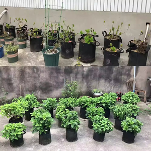 Bolsas de cultivo de tela de 11 <span class=keywords><strong>litros</strong></span> de 3 galones de Guangdong, <span class=keywords><strong>macetas</strong></span> de vivero no tejidas personalizables para proyectos ecológicos - Product Image 6