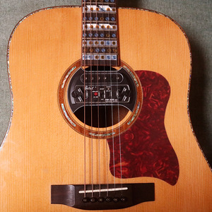 Localizador de Piojos de 41 "40" - Product Image 4