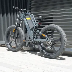 Vélo électrique Fat Bike de 26 pouces, 48V, 500W, 700W, cadre en alliage d'aluminium, offre spéciale, 1000