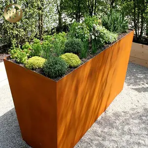 उद्यान Plantador Corten स्टील नर्सरी बॉक्स धातु फूल Plater बर्तन