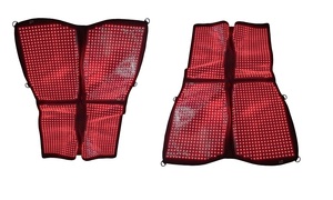 Equipo de terapia de caballos Tratamiento infrarrojo equino Alivio del dolor de caballos Veterinario de mascotas utilizado para espalda ecuestre 850nm 660nm - Product Image 3