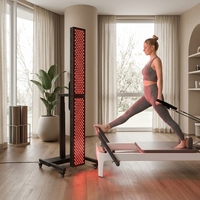 Panneau de Récupération Post-Entraînement à Lumière Rouge NIR pour Pilates et Fitness 630nm 660nm 810nm 830nm 850nm – Soulagement de la Douleur